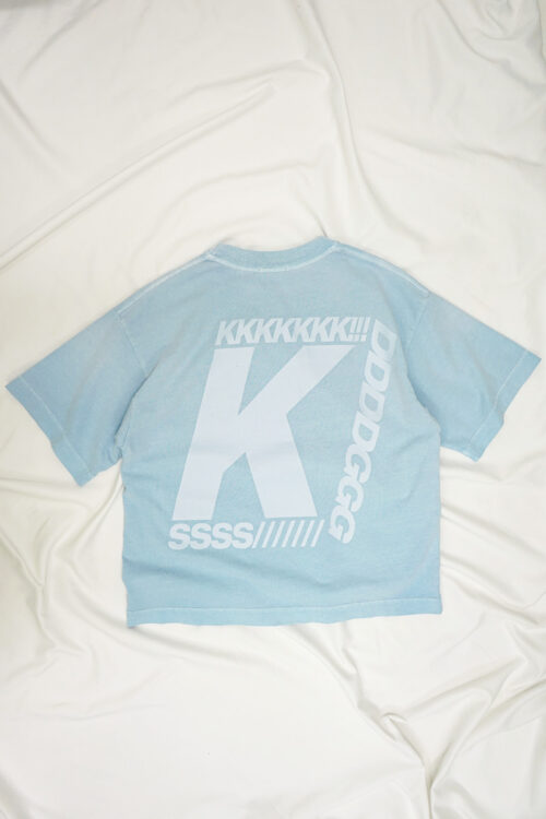 Regular Cut Collection Baby Blue T-Shirt