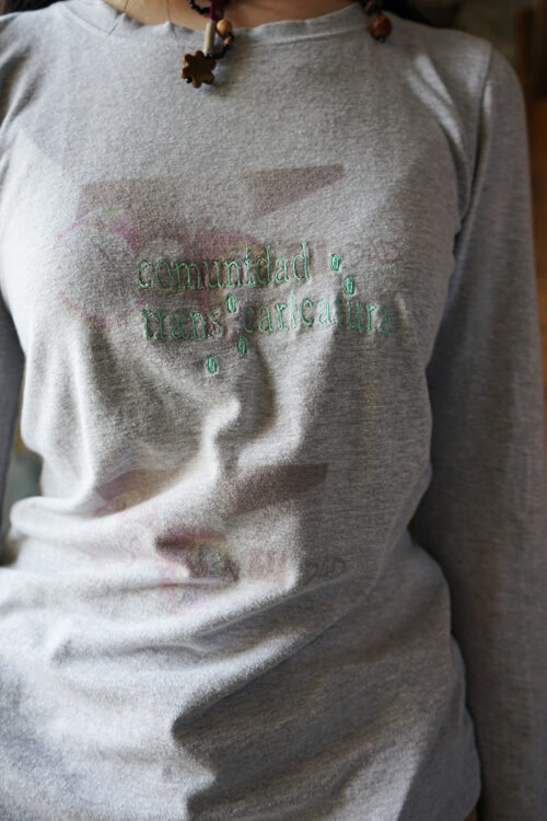 Printed embroidery tee