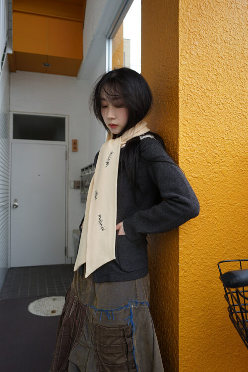 Muffler in the mirror