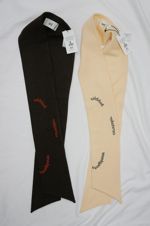 Muffler in the mirror