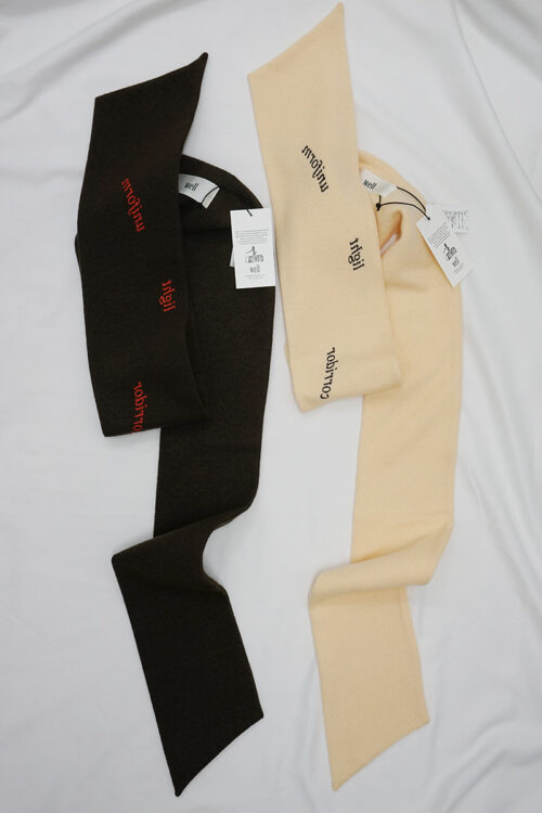 Muffler in the mirror